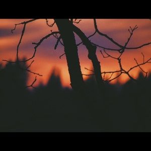 Meet your Posher, Sammie